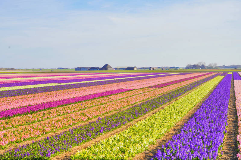Callantsoog als Alternative zu bekannten europäischen Reisezielen